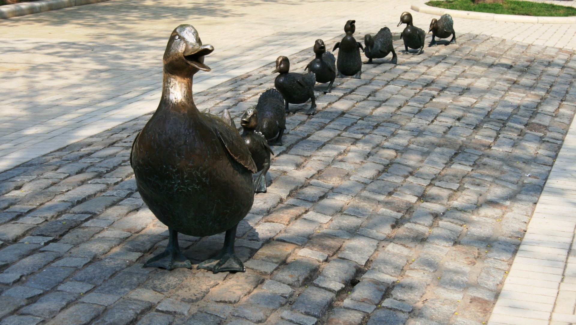 Don t Get Your Ducks In A Row The Marketing Sage