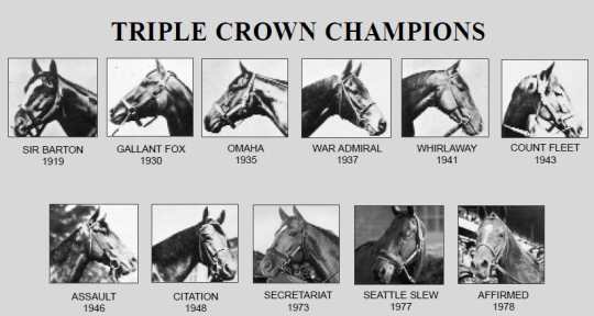 Triple Crown – The Dental Sequel